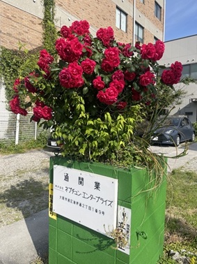 ������Ѓl�v�`�����G���^�[�v���C�Y